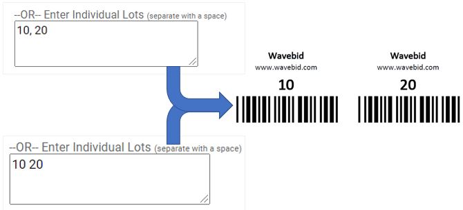 IndividualBarcodeExample.JPG