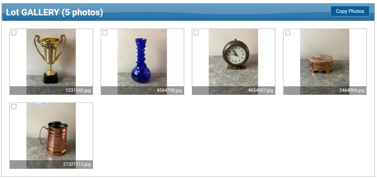 UploadManuallyGalleryLot.JPG