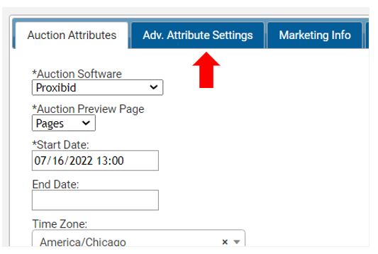 AdvAuctionAttributes2.JPG