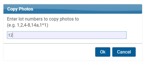 CopyPhotos2.jpg